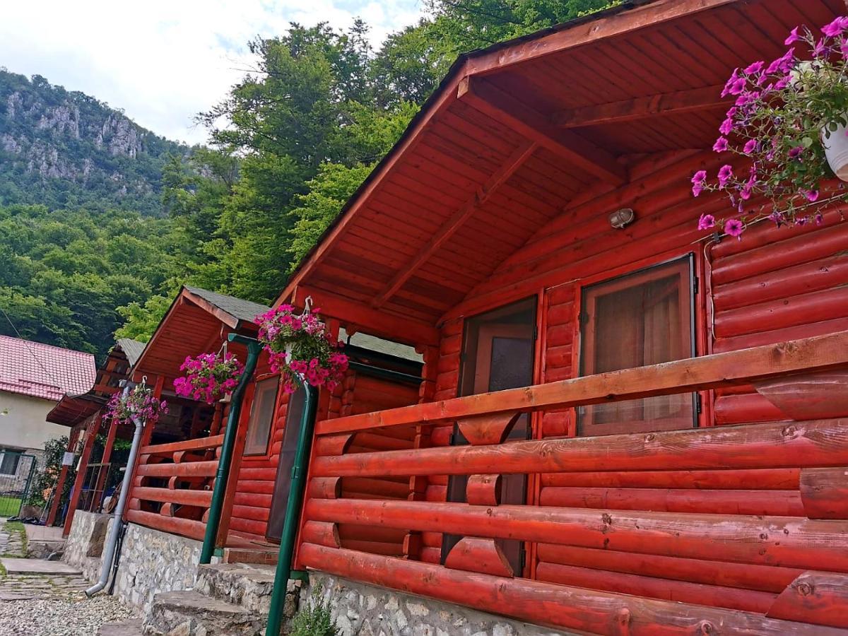 Casa Beasarah. Villa Dubova Luaran gambar