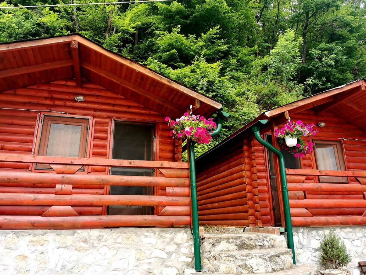 Casa Beasarah. Villa Dubova Luaran gambar